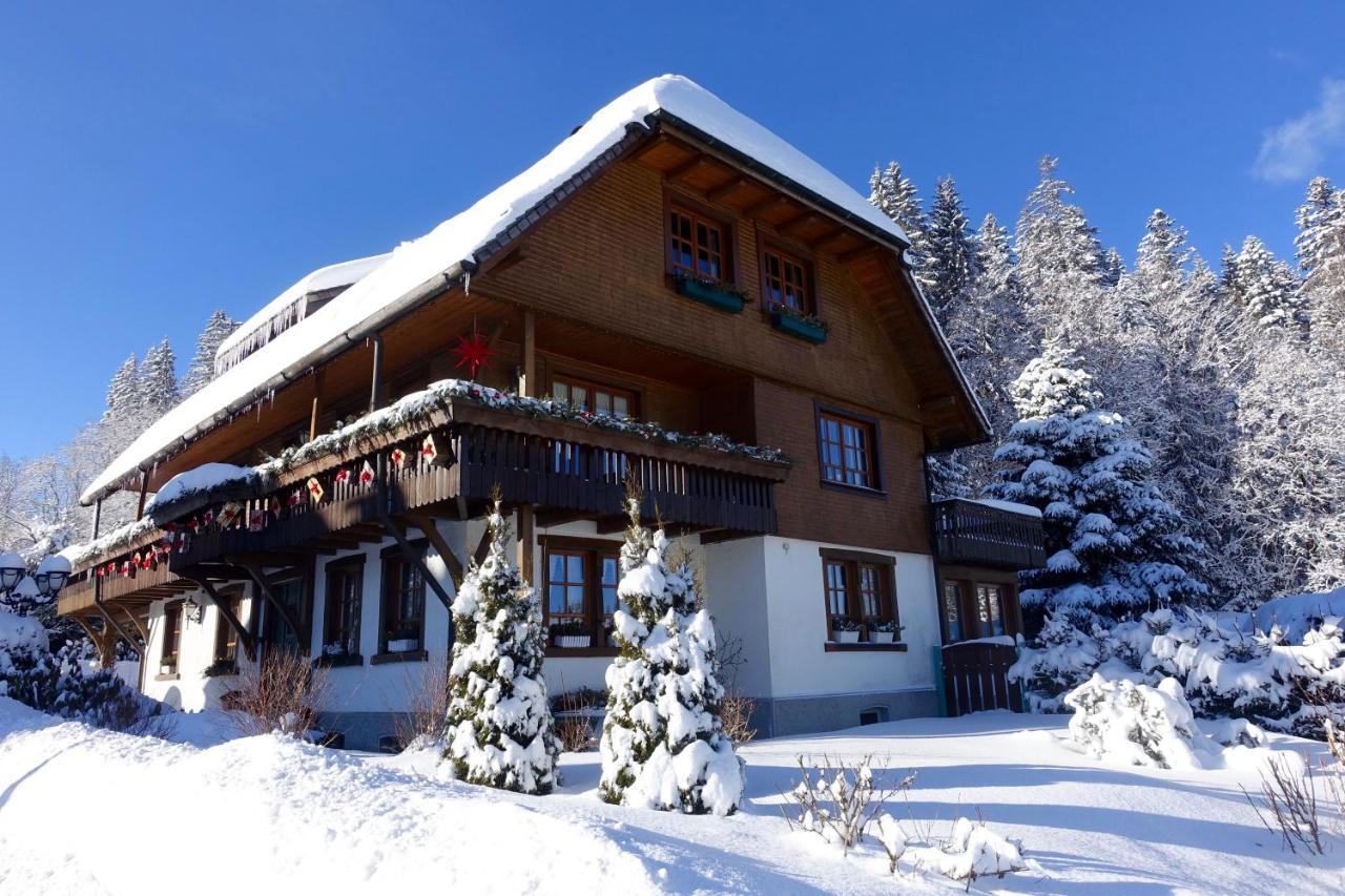 Hollhouse - Bed & Breakfast Хинтерцартен Екстериор снимка